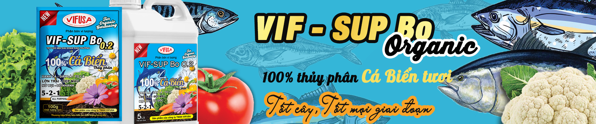 BANNER VIF-SUP Bo 0.2