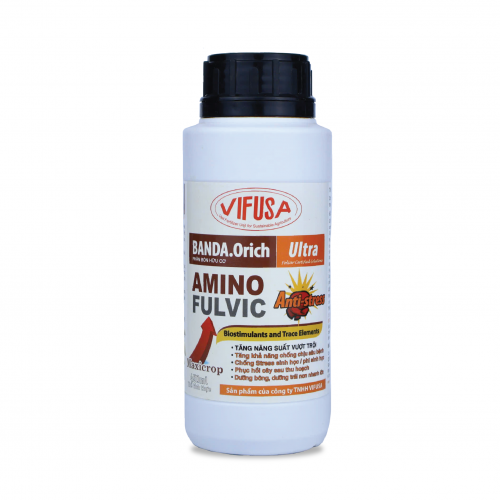 BANDA.Orich chai 500ml